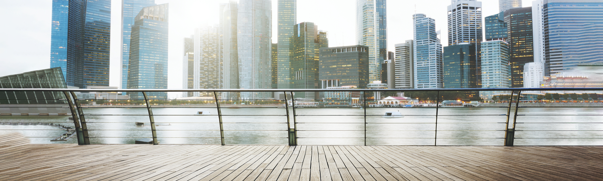 Banner image - Singapore city skyline